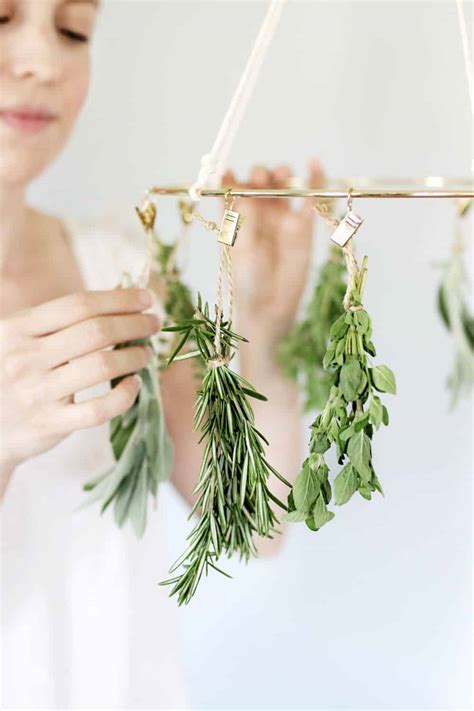 This Diy Herb Drying Rack Is The Kitchen Accessory You