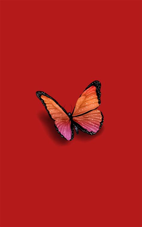 Cute Red Butterfly Wallpapers Top Free Cute Red Butterfly Backgrounds