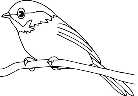 15 Contoh Gambar Sketsa Hewan Burung Terbaru Postsid