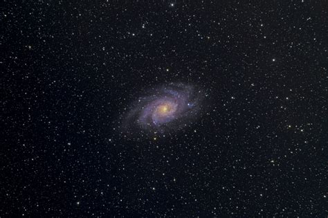 The Triangulum Galaxy M33 Rastrophotography