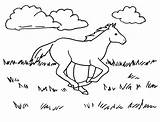 Horse Coloring Running Printable Reference Wild Samanthasbell Animals Samantha sketch template