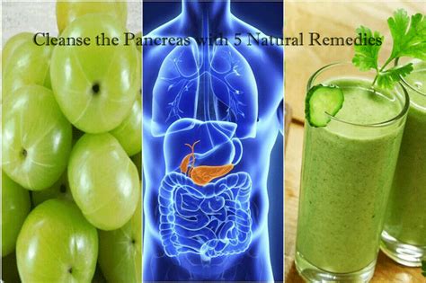 Cleanse The Pancreas With 5 Natural Remedies Wiselancer