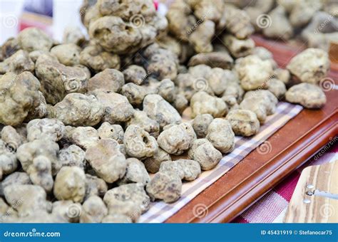 Group Of White Truffles From Alba Italy Stock Image Image Of Alba