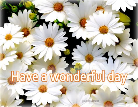 Have A Nice Day Images With Flowers Top Collection Of Different Types