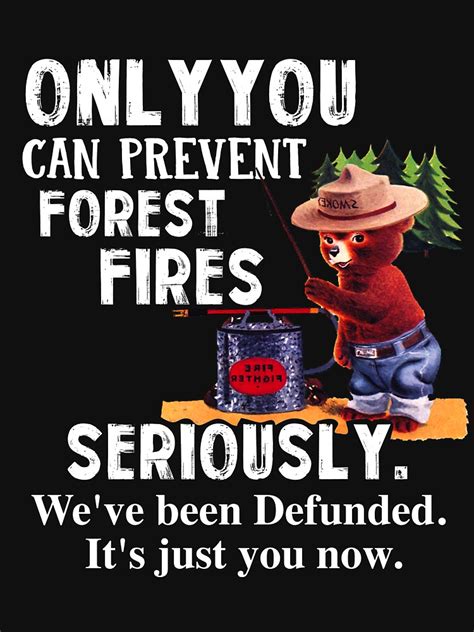 only you can prevent forest fires seriously we ve been defunded it s just you now t shirt by