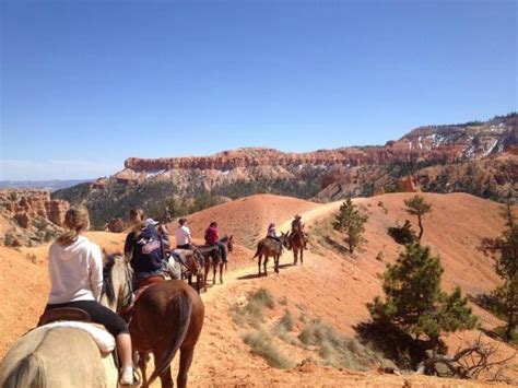 Horseback Riding In Bryce Canyon Picture Of Canyon Trail Rides Bryce