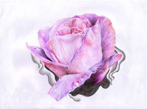 Apart from being signed against, it is available to the entire public for download and unlimited use. Dew Drop on rose drawing tattoo | Best Tattoo Ideas Gallery