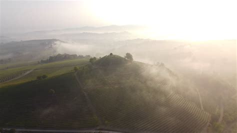 Vineyard Aerial View In Langhe Piedmont Italy 15284312 Stock Video At