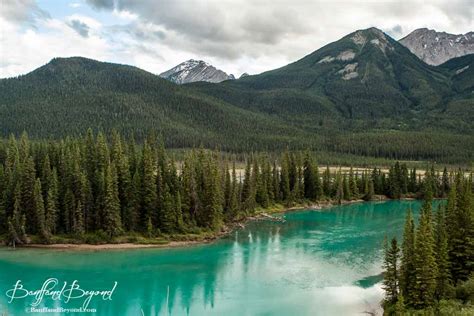 The speed limit is intentionally slow at 60 km to add safety. Bow Valley Parkway A Scenic Drive In Banff | BanffandBeyond