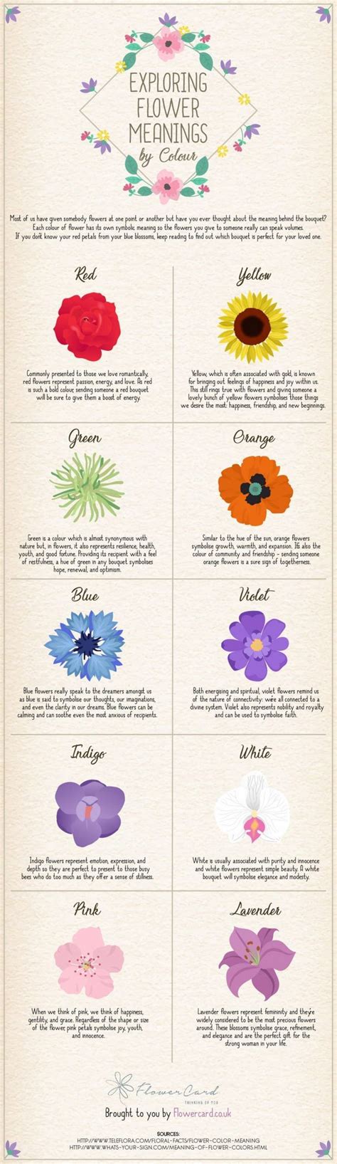 Exploring Flower Meanings By Colour [infographic Flower Meanings With Pict Colour