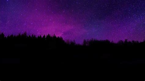 Trees Wallpaper 4k Silhouette Purple Sky Dark Background Nature 4294