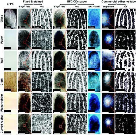 High Efficiency Transfer Of Fingerprints From Various Surfaces Using
