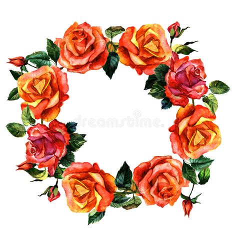 Wildflower Rose Flower Wreath In A Watercolor Style Isolated Stock