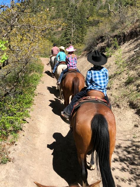 Ouray Horseback Rides Action Adventures Trail Rides