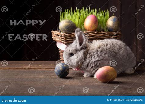 Cute Easter Bunny With Colored Eggs Stock Photo Image Of Small