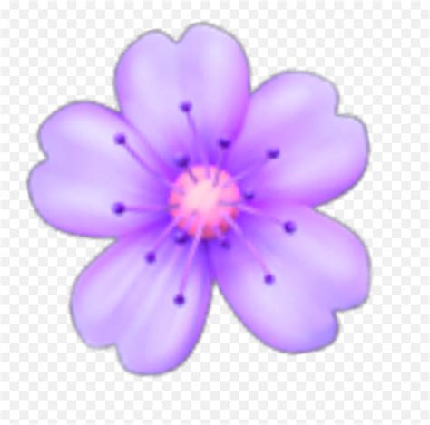 Emojiflower Purple Pastelpurple Pur Heart Emoji Crown Transparent