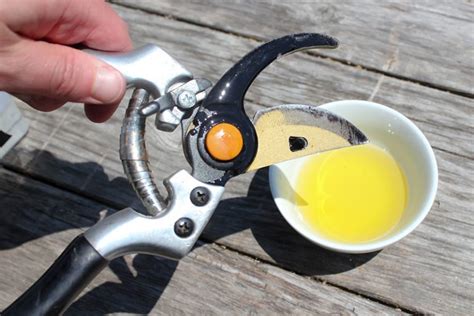 How To Clean Pruning Shears The Creek Line House