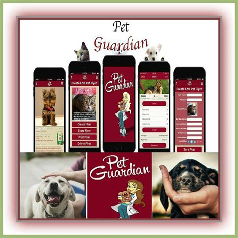 Do You Want To Care Your Pet In Very Easier And More Enjoyable Way