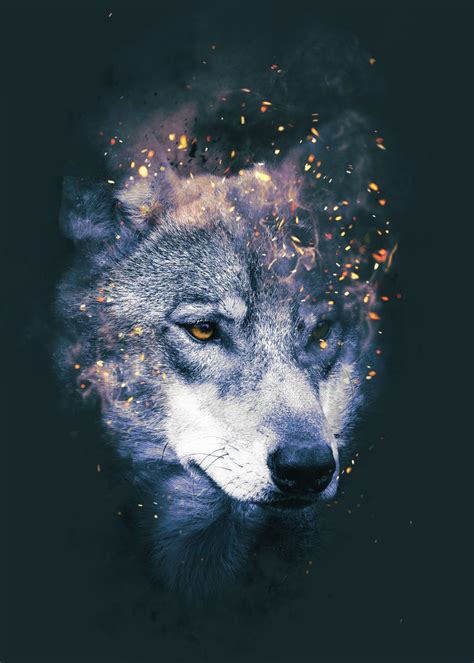 Burn Wolf Poster By Dmc 696 Displate