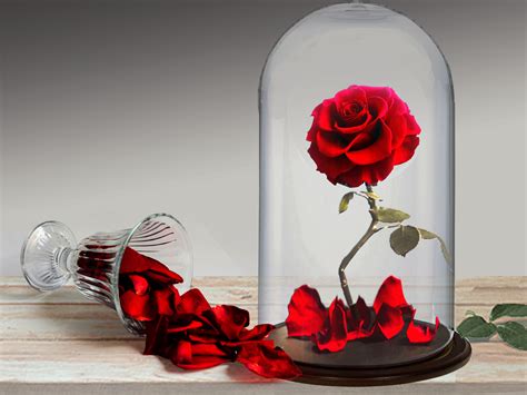 See more about drawing, art and draw. Valentines with a twist as Artists focus on "Self Love" at ...