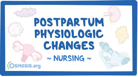 Postpartum Physiologic Changes And Nursing Care Osmosis Video Library
