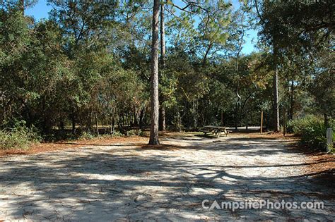 Ochlockonee River State Park Campsite Photos And Camping Info