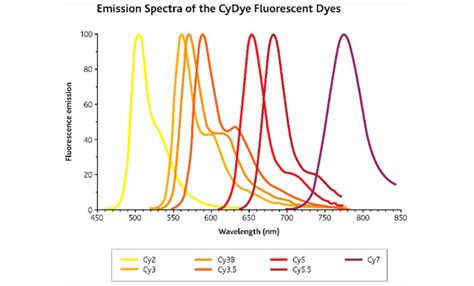Cy Dyes Crb Discovery