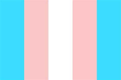Transgender Pride Flag Palette Color Palette