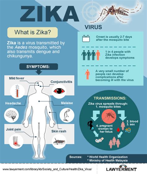 Facts About Zika Virus What Is Zika Zika Virus Lawyerment Knowledge Base