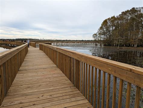 New Boardwalk At Orlando Wetlands Is Perfect For Families