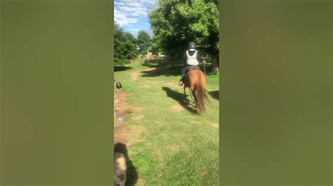 Me Riding My Horse Youtube