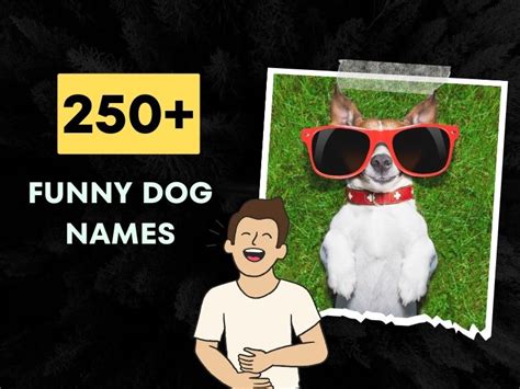 250 Funny Dog Names Tail Wagging Humor