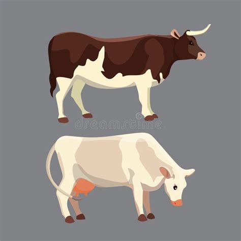 Different Cows Vector Illustration Mammal Funny Animals Set Milk Cow