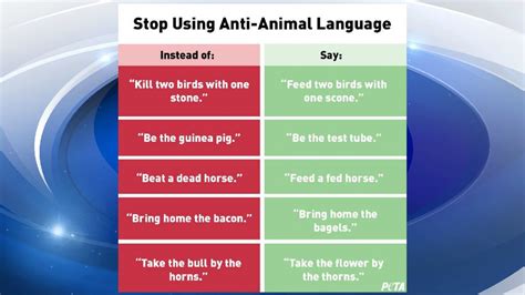 Peta Urges People To Stop Using Phrases With Speciesism