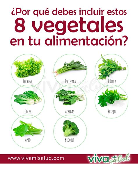 8 vegetales que debes incluir en tu alimentación Alimentos para