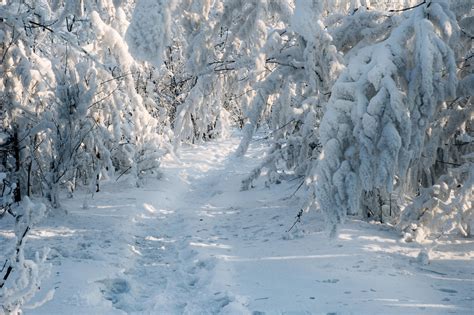 The Siberian Winter By Box426 On Deviantart
