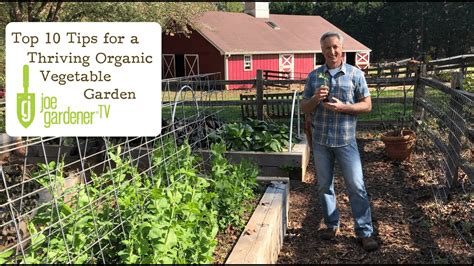Top 10 Tips For A Thriving Organic Vegetable Garden Youtube