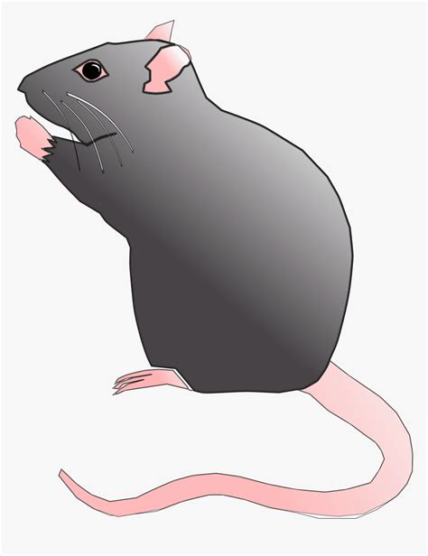 Ratx Image Png Cute Rat Clip Art Transparent Png Kindpng