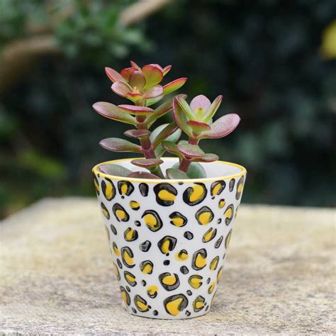 Mini Leopard Pattern Planter With Choice Of Plant By Dingading