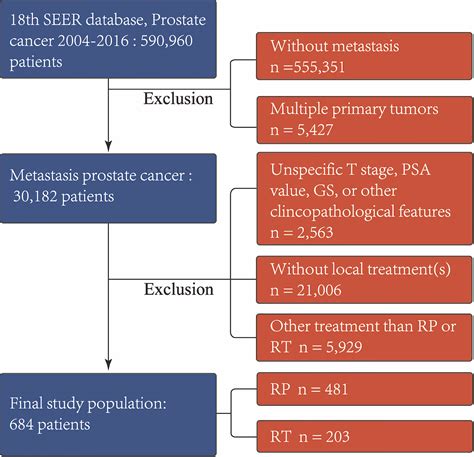 Prostate Cancer Treatment Algorithm