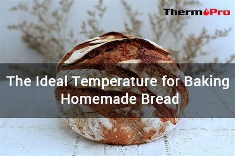 The Ideal Temperature For Baking Homemade Bread Thermopro