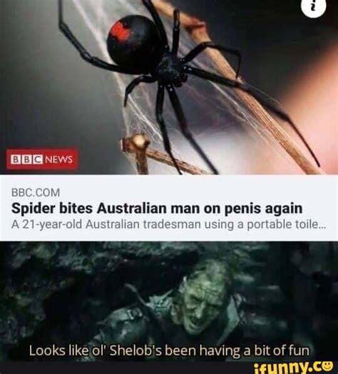 News Spider Bites Australian Man On Penis Again Old Australian