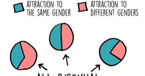 Chart Debunks A Myth About Bisexuality Attn