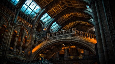 Download Wallpaper Inside Of Natural History Museum From London 1920x1080