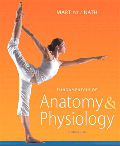 Anatomy And Physiology Martini 9th Ebook Kedokteran