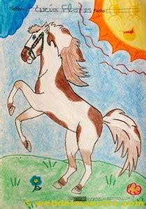 Caballos para colorear - Web del maestro