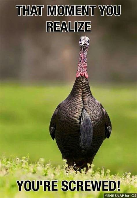 Funny Turkey Hunting Pictures