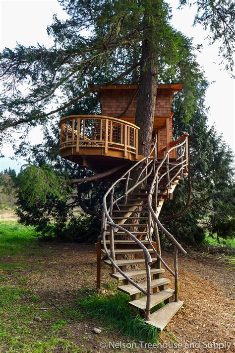 Photo Tour: Charlie's Treehouse at Treehouse Resort and Spa - Nelson