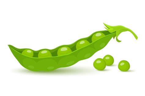 Premium Vector Green Pea Green Peas Pods Isolated On White Background Vector Flat Style