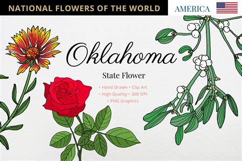 Oklahoma State Flower Coloring Pages